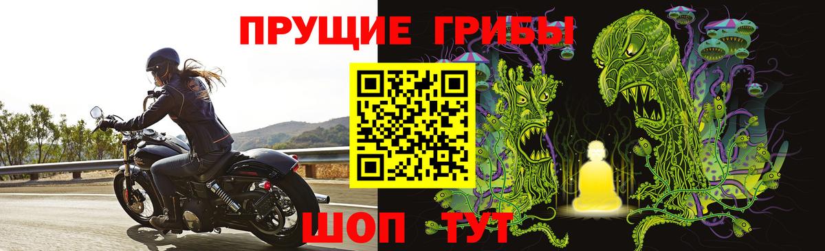 Туапсе  где купить наркоту  Псилоцибиновые грибы ЛСД  Вход с VPN  Псилоцибиновые грибы мухоморы 