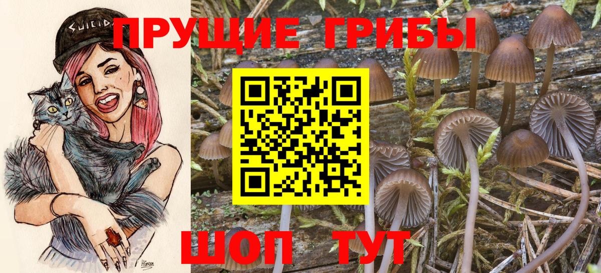 Галлюциногенные грибы ЛСД Туапсе